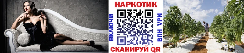 Где продают наркотики Сердобск Кокаин  A-PVP  АМФ  Каннабис 