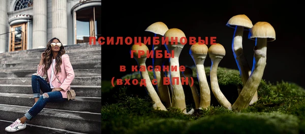 mdpv Баксан