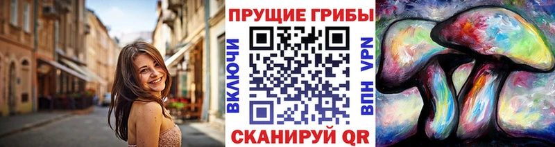 Псилоцибиновые грибы Psilocybe  Сердобск 